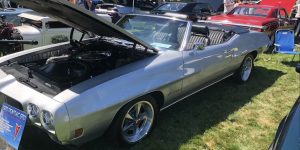 1970 Pontiac GTO  auto automobile white car grass Pontiac tree wheel