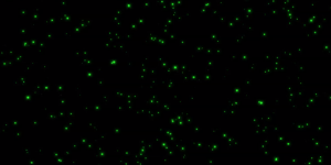 Abstract Green Glow black circle green move swirl 3d motion graphics