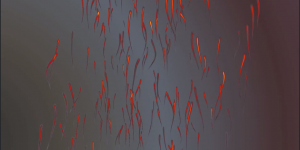 Abstract North Embers flare gray north red wave motion graphics 3d