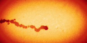 Abstract Red Swirl circle red sunset swirl yellow motion graphic