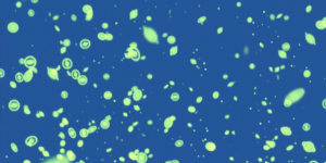 Abstract Yellow Cell blue circle movement green motion graphic