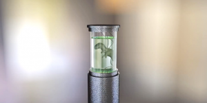 Animated Dinosaur green rotation spin water 3d motion graphics