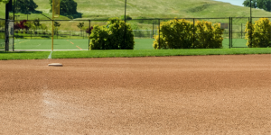Baseball Diamond dirt fence shrub trees