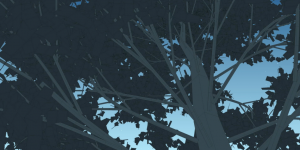 Animated Branches Night Sky star tree 3D motion graphics