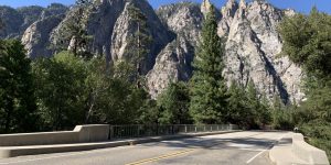 Bridge road rock shrub tree