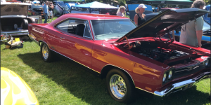 Classic Red car grass hood tire tree