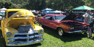Classic Yellow Car grass hood  tire  tree red car