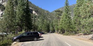 Down The Road car road rock shrub tree