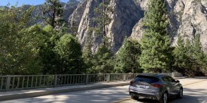 Driving On Bridge bridge car road rock tree