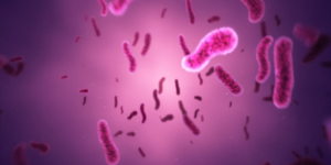 Human Red Cells human liquid red white motion graphics 3d graphics