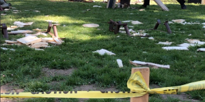 grass lumber tent tree wood lumberjack final