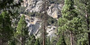 Mountain Peak dirt peak rock trail tree