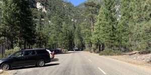 One Way car road rock shrub tree