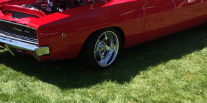 Open Hood Red Car grass tire tree