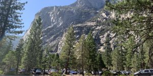 Parking car road shadow shrub tree
