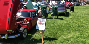 Red GT6 car grass hood sign tire