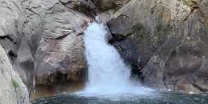 gorge lake mist park ravine rock tree water waterfall Portrait