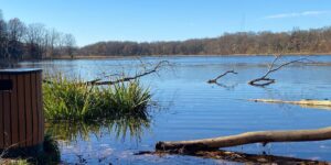 Autumn River lake tree
