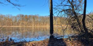 Autumn River forest sunny day blue sky
