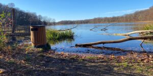 Autumn River tree branch sunny day blue sky