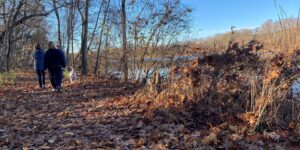 Autumn Trail forest tree blue sky day time leaves people