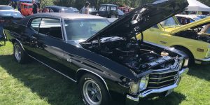 Black Classic canopy car grass tree wheel