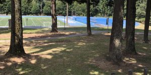 Football Field fence grass Sky tree