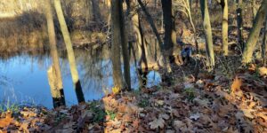autumn bluff cliff fall forest lake leaves nature pond water