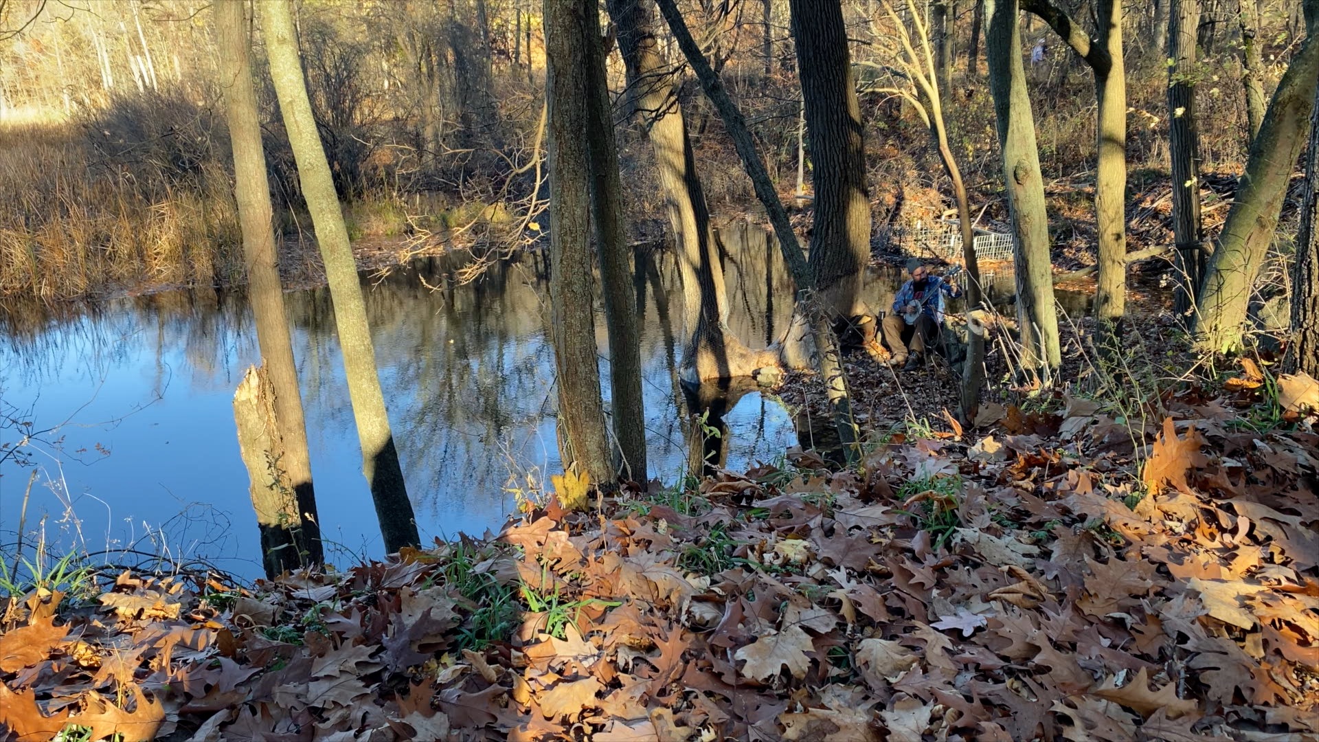 Forest3_30fps_26secs_L_1080