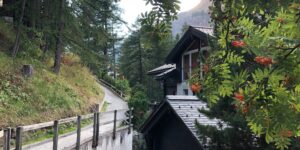 mountains cabin woods trees day time forest