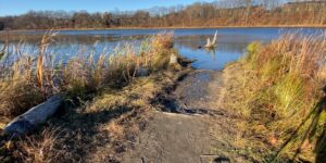 boating, fishing, lake, nature, pond, reflection, relaxation, scenery, serenity, water, wildlife