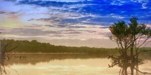 Lake Sunset tree golden hour sky