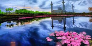 Lotus Lake flower sky