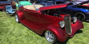 Open Roof Car canopy car grass tree wheel