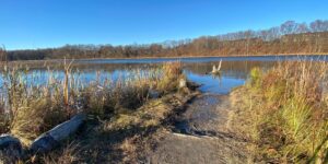 River Path trees blue sky day