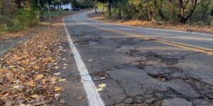 adventur asphalt autumn direction fall highway journey landscape leaves road scenic transportation travel Portrait