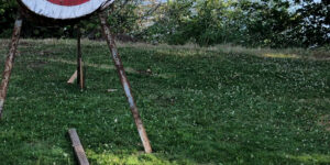 target lake trees wood forest