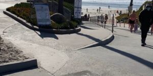 beach, travel, palm tree, ocean, daytime