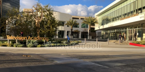 TV Academy People building Emmy fountain grass statue