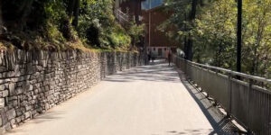 bike riding, sky, day time, trees, forest