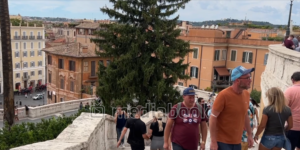 tourist outdoor day time walking