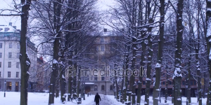 Winter Walkway building man snow tree walkway