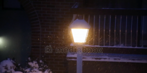 Winter Light brick bushes light snow street