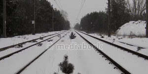 Winter Tracks building falling snow stair tree